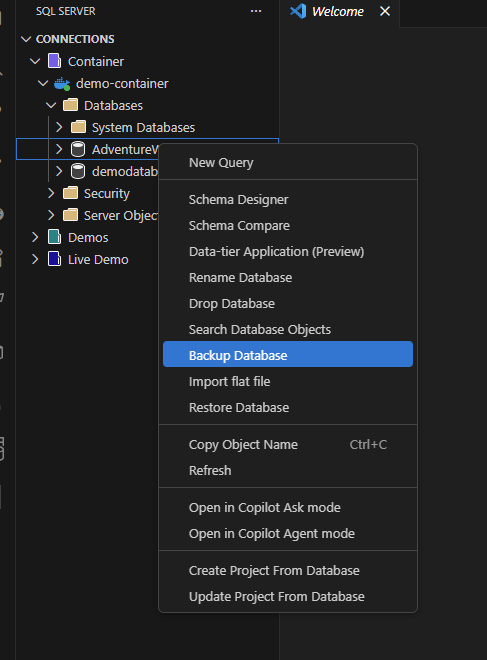 Captura de ecrã da opção Backup Database no menu contextual do Explorador de Objetos.
