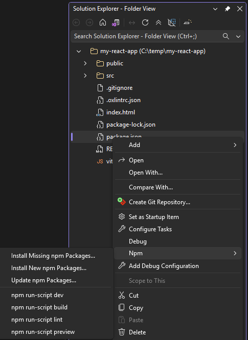 o menu npm no Explorador de Soluções