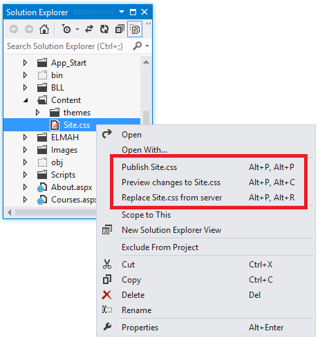 Publicera alternativ från Solution Explorer