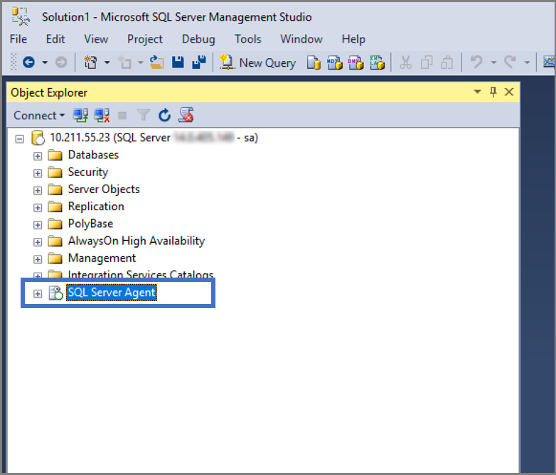 Screenshot som visar hur du verifierar att SQL Server Agent har installerats.