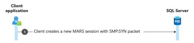 diagram över den nya MARS-sessionen.
