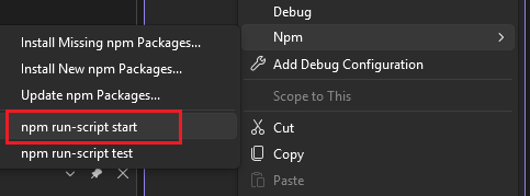 Kör ett startskript från npm-menyn
