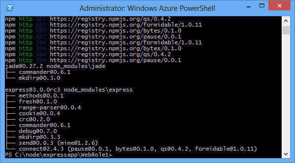 npm install 指令的輸出