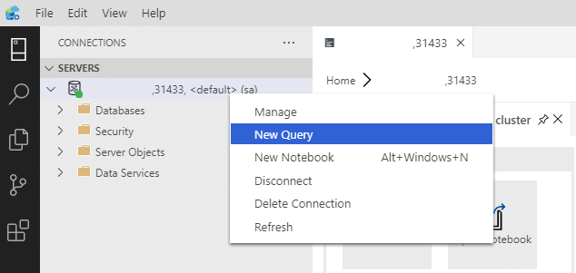 SQL Server 主要實例查詢